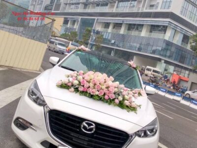 Xe cưới hỏi Phan Rang Ninh Thuận sang trọng, đa dạng mẫu mã