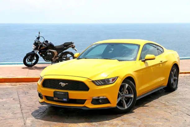 Hình ảnh xe Limousine Ninh Thuận đi Đà Lạt chất lượng cao
