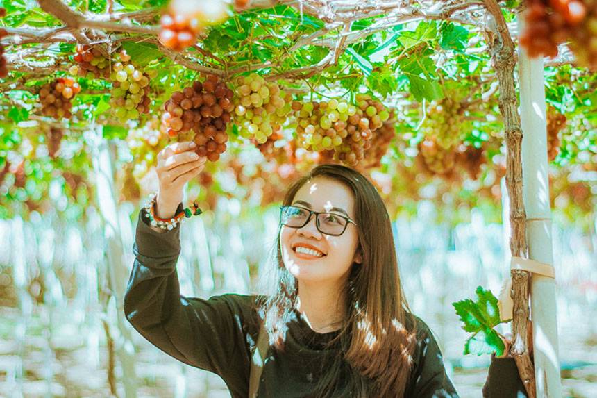 Taxi từ Đà Lạt đi Vĩnh Hy giá rẻ, xe đời mới, đưa đón tận nơi