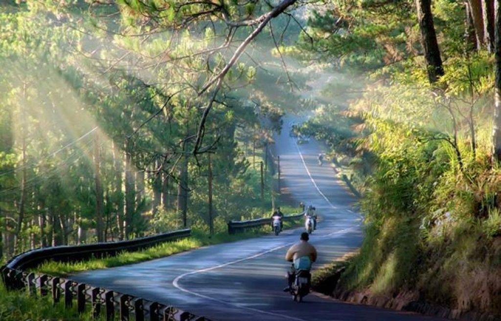 Thuê xe 7 chỗ Phan Rang đi Đà Lạt giá rẻ, xe rộng rãi, có tài xế đưa đón tận nơi