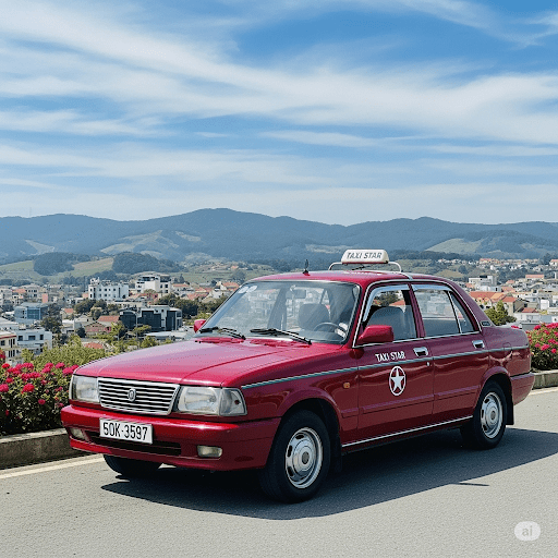 Xe taxi đưa đón tận nơi từ Phan Rang đến Đà Lạt