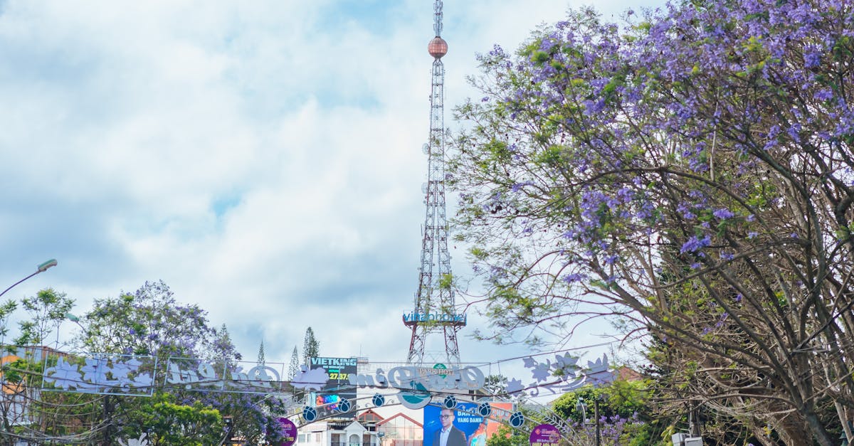 Taxi Vĩnh Hy đi Đà Lạt – cung đường đẹp và an toàn