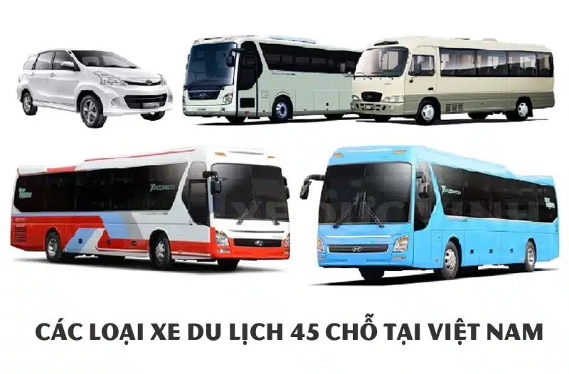Dịch vụ taxi Taxi Star Cà Ná xe 4–7 chỗ, đón tận nơi nhanh chóng