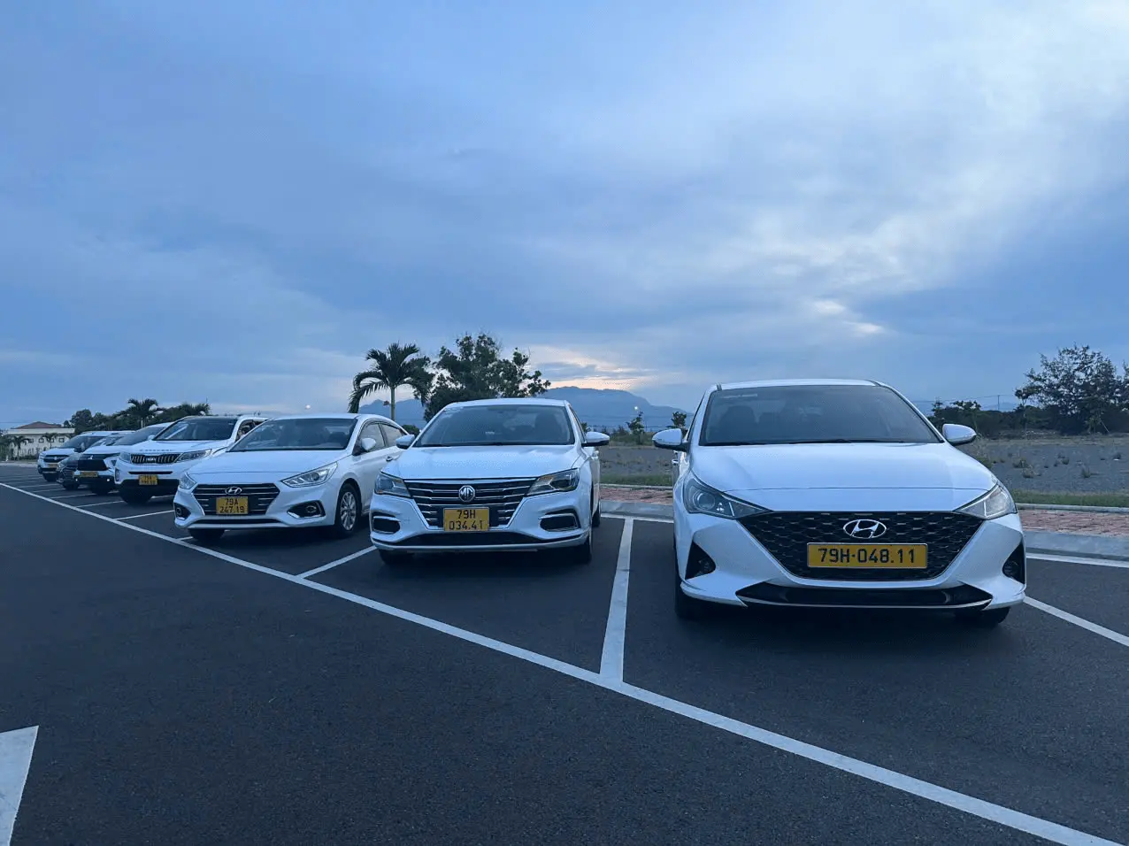 Top hãng taxi Ninh Thuận uy tín: gợi ý lựa chọn dịch vụ tốt, đón đúng giờ, giá minh bạch