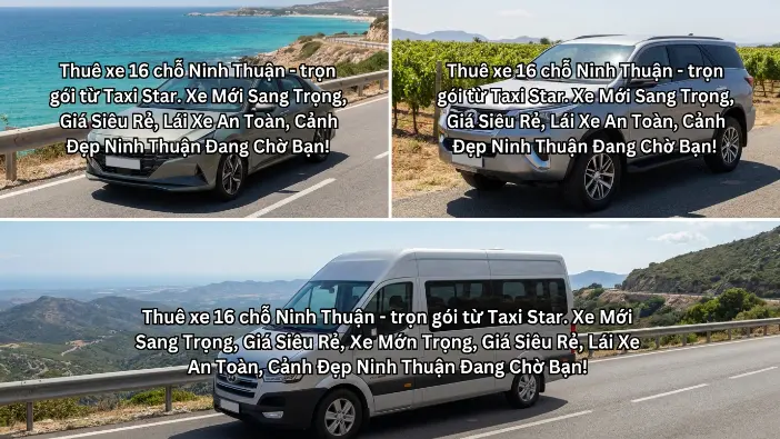 Thuê xe 16 chỗ Ninh Thuận trọn gói của Taxi Star