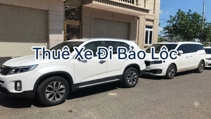 Thuê xe đi Bảo Lộc giá tốt, xe đời mới đưa đón tận nơi