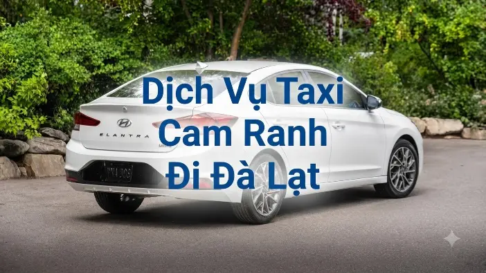 Dịch vụ taxi Cam Ranh đi Đà Lạt giá tốt, xe riêng đón tận nơi an toàn