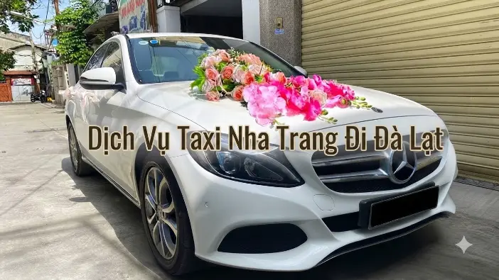 Dịch vụ taxi Nha Trang đi Đà Lạt giá tốt, xe riêng đón tận nơi an toàn